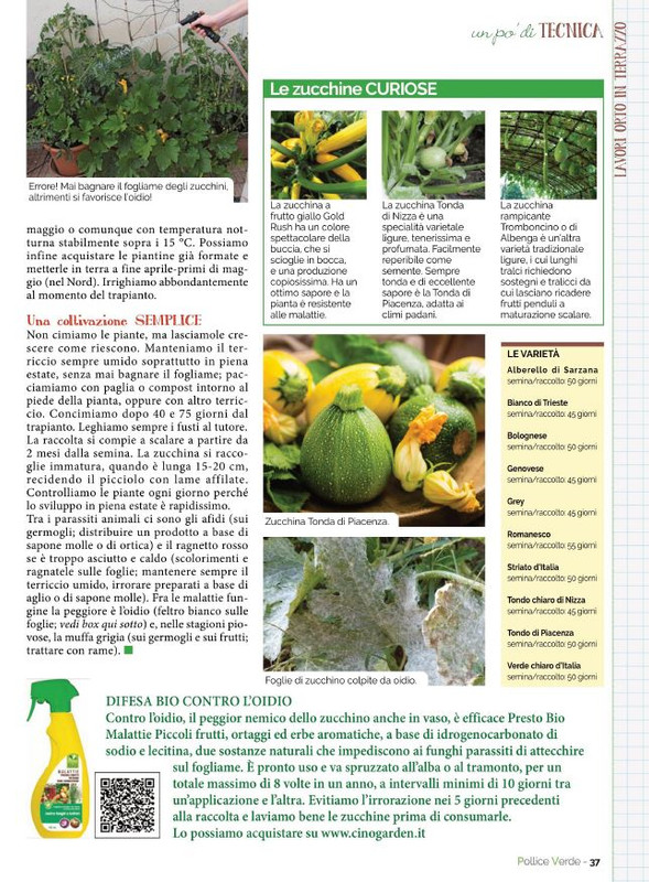 Pol Ver Mag 2022 (4)