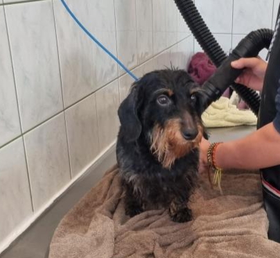 [Image: 20221029-075619.jpg]