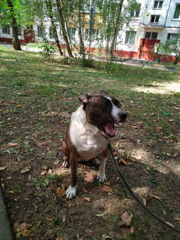 7188F0BF-7135-4A07-B427-BBD4640ADBA9