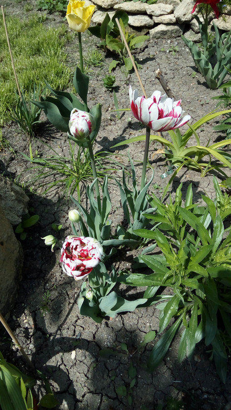 IMG_20190421_145830