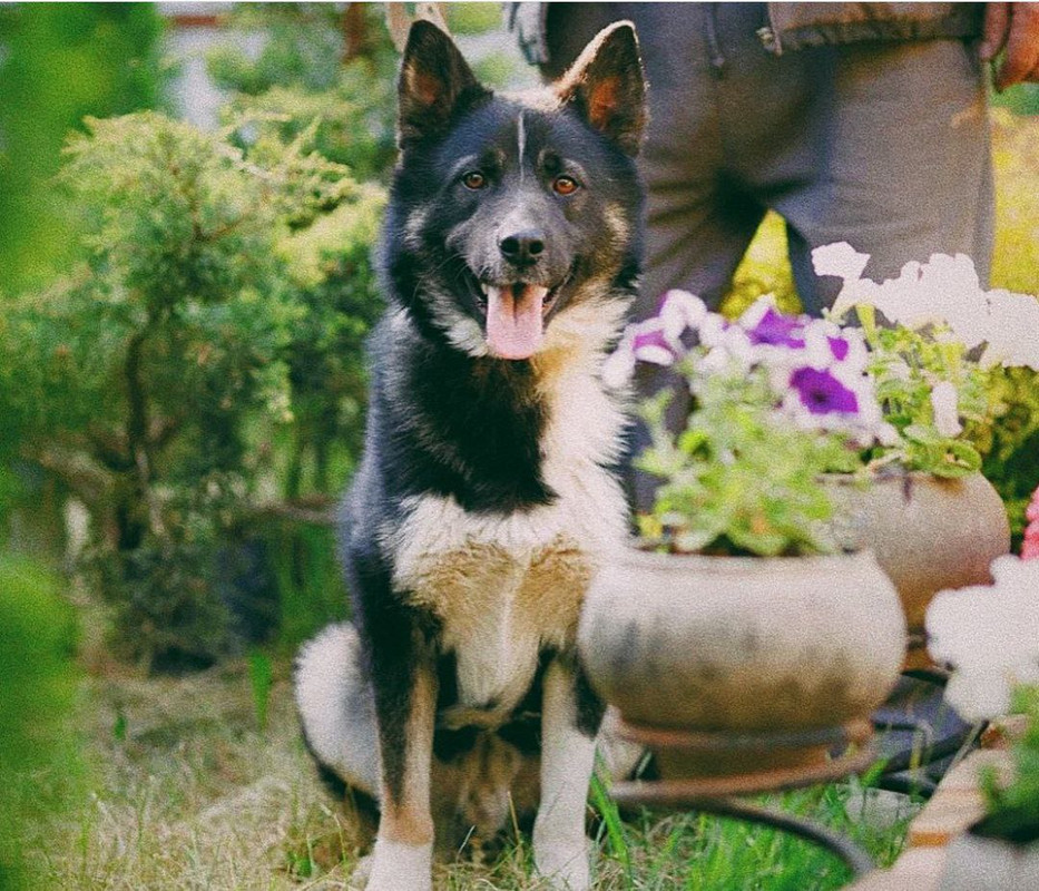 photo_2023-09-21_15-33-21