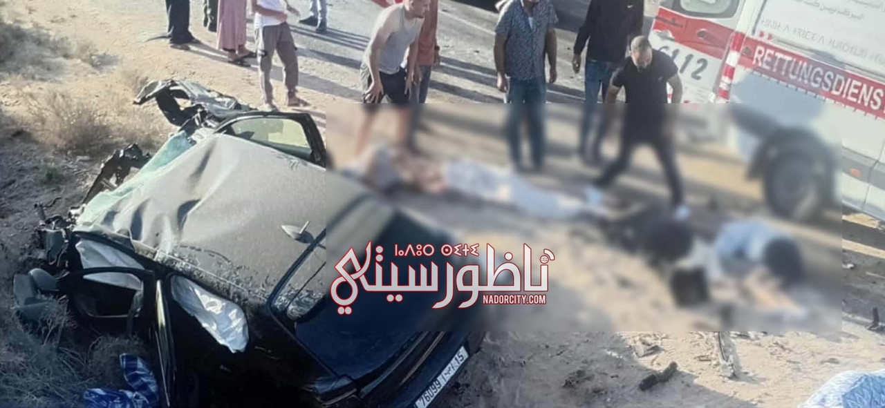 540536713-1407258130339489-2960441486513551837-n