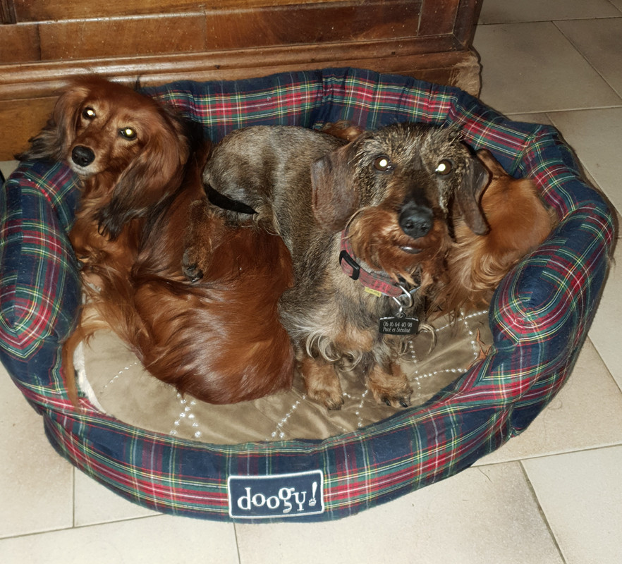 [Image: 20210420-223910.jpg]