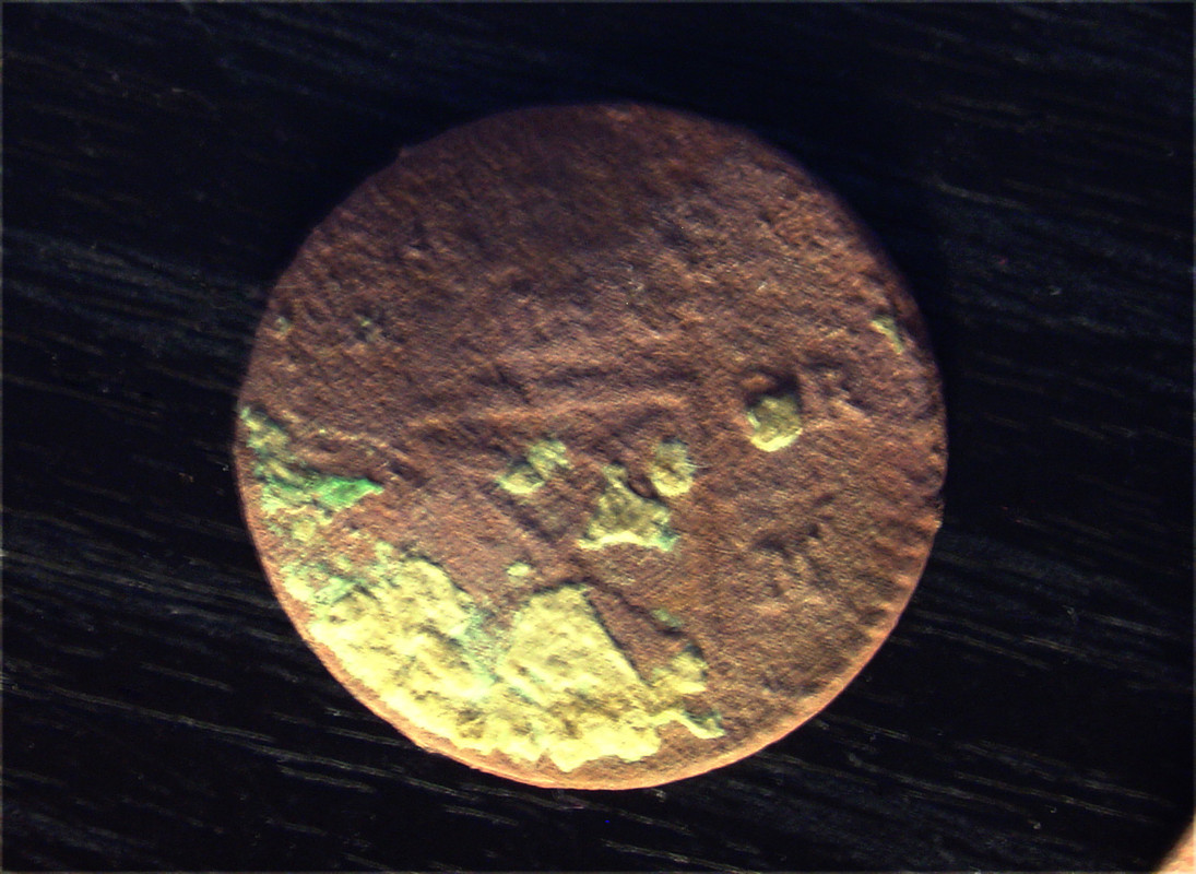 2015-06-07 - öre, metsäpelto (photo)