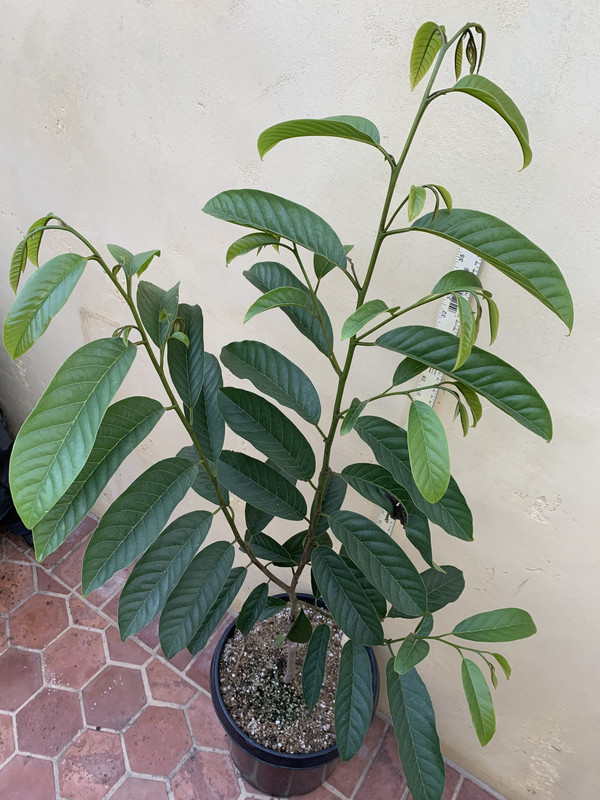 8972A7EA-7E4C-4C19-BAA7-413D3233B417