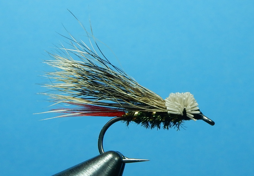 Doodlebug-1080.jpg