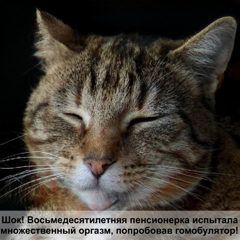 празител суспензия отзывы