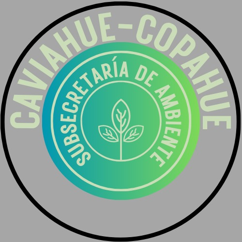 CAVIAHUE-COPAHUE