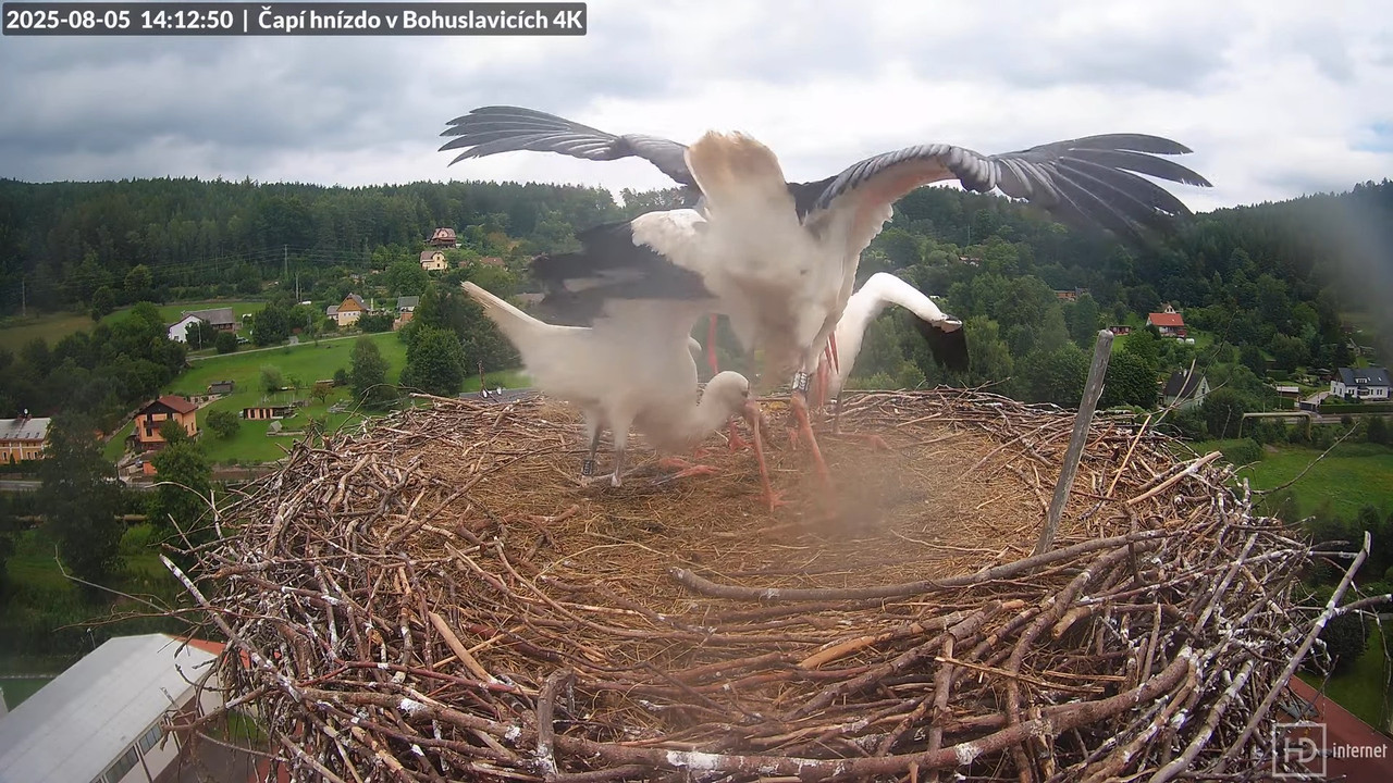 Tiešraide no KARA uzņēmuma stārķu skursteņa Bohuslavicē netālu no Trutnovas 12-3-42 screenshot