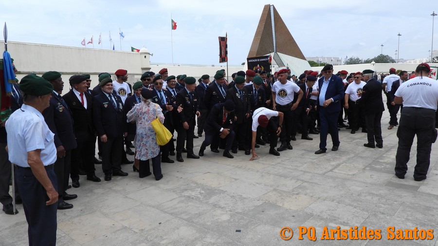 506000859-2426593627722814-53328823564612006-n