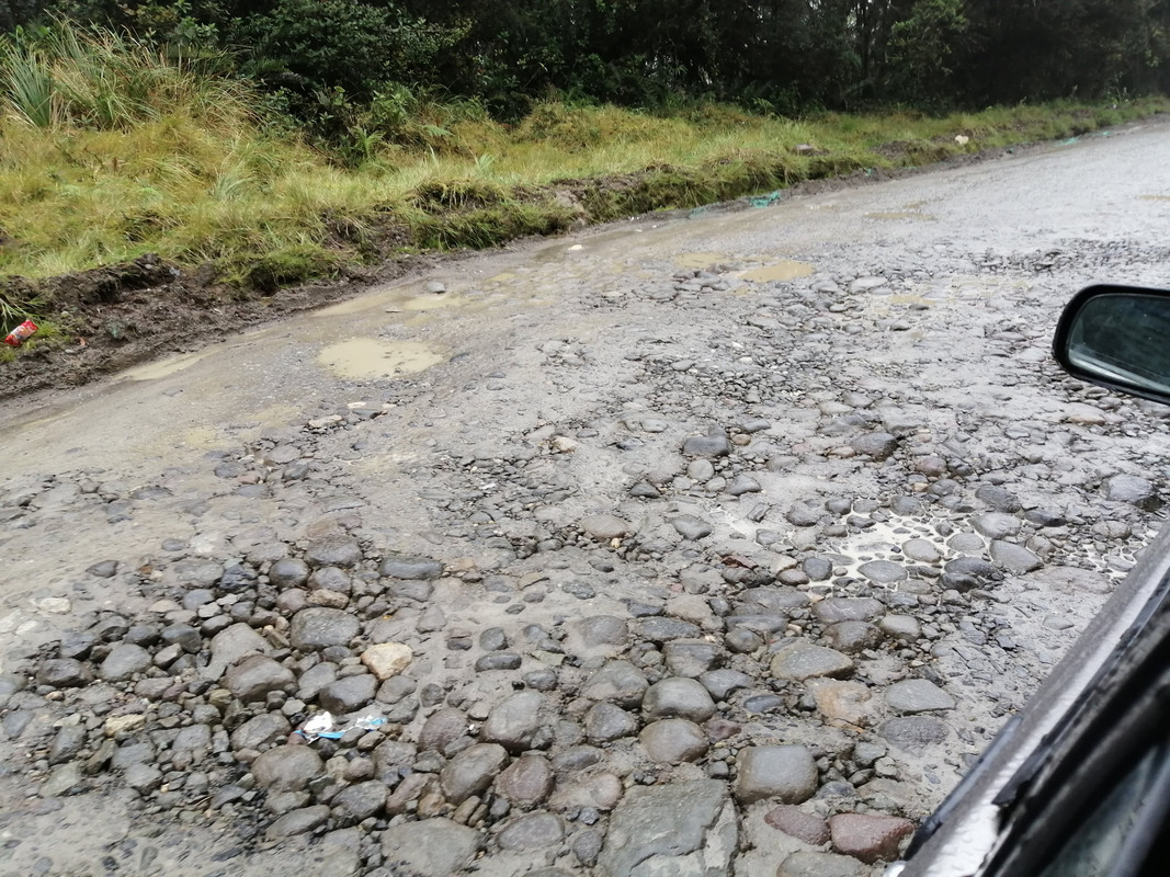 Colombia por libre en 18 días - Blogs de Colombia - Estrecho río Magdalena, Parque de San Agustín y ruta hasta Cali (17)
