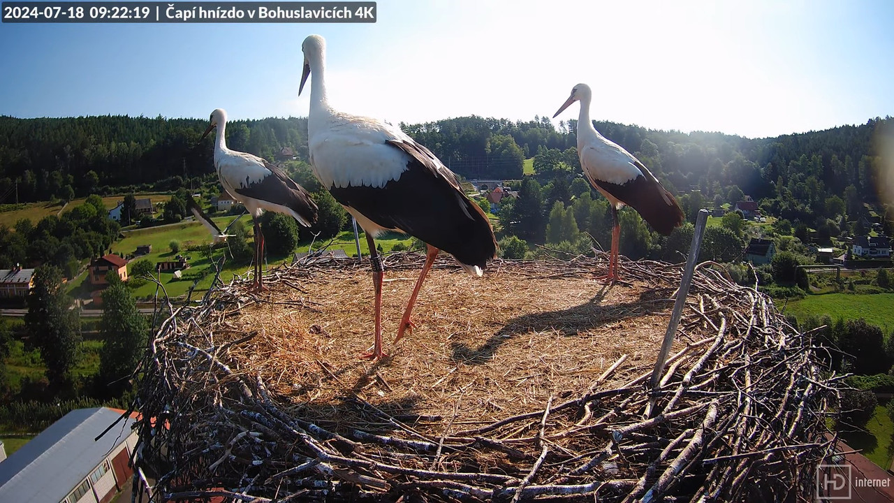 Tiešraidē no uzņēmuma KARA stārķa skursteņa Bohuslavicē pie Trutnovas 9-18-8 screenshot (2)