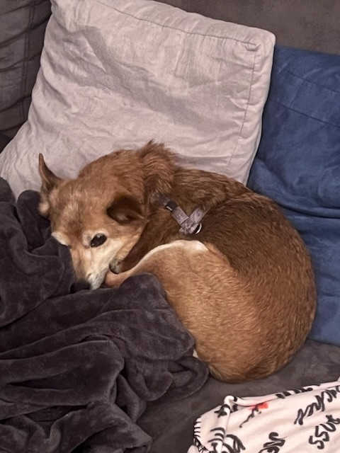 [Image: 7-B67010-C-0-A07-4-AC9-8-F00-DE8-A947-DF114.jpg]