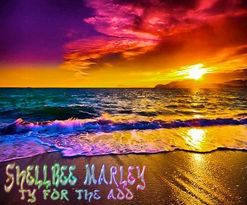 tyaddshellbeemarley