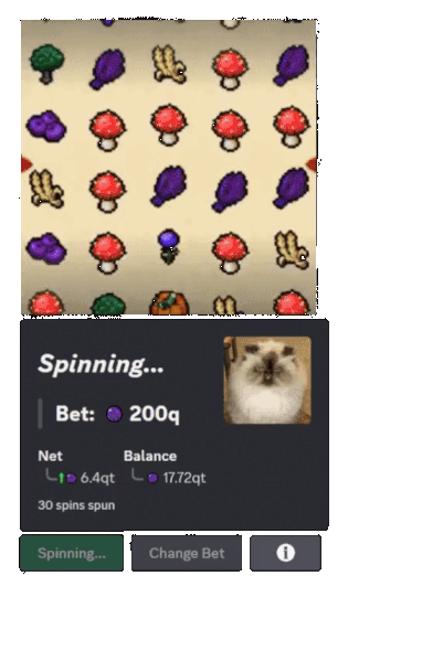 Slumball Gambling