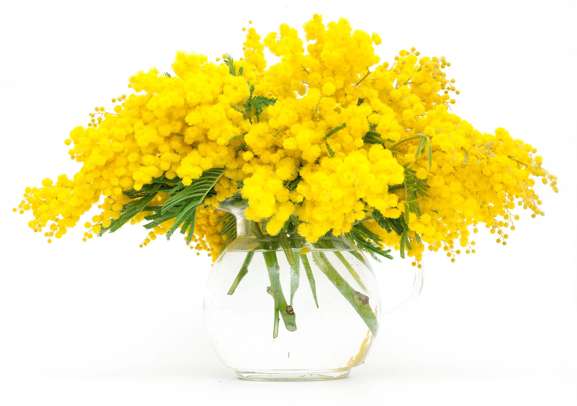 E79726AB-C57F-4EAF-9417-CB33624D8247