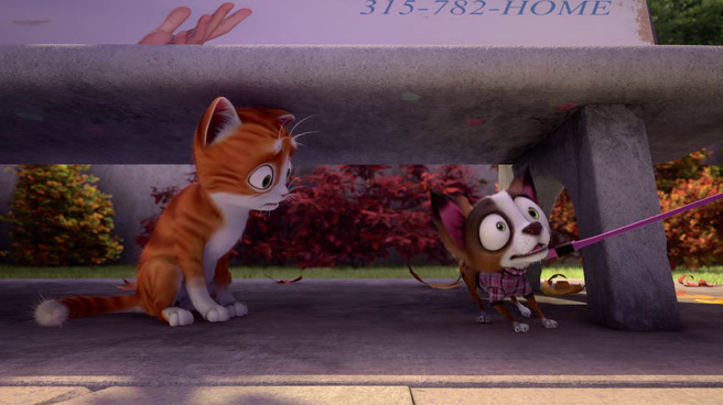 vlcsnap-2014-05-08-13h15m06s26