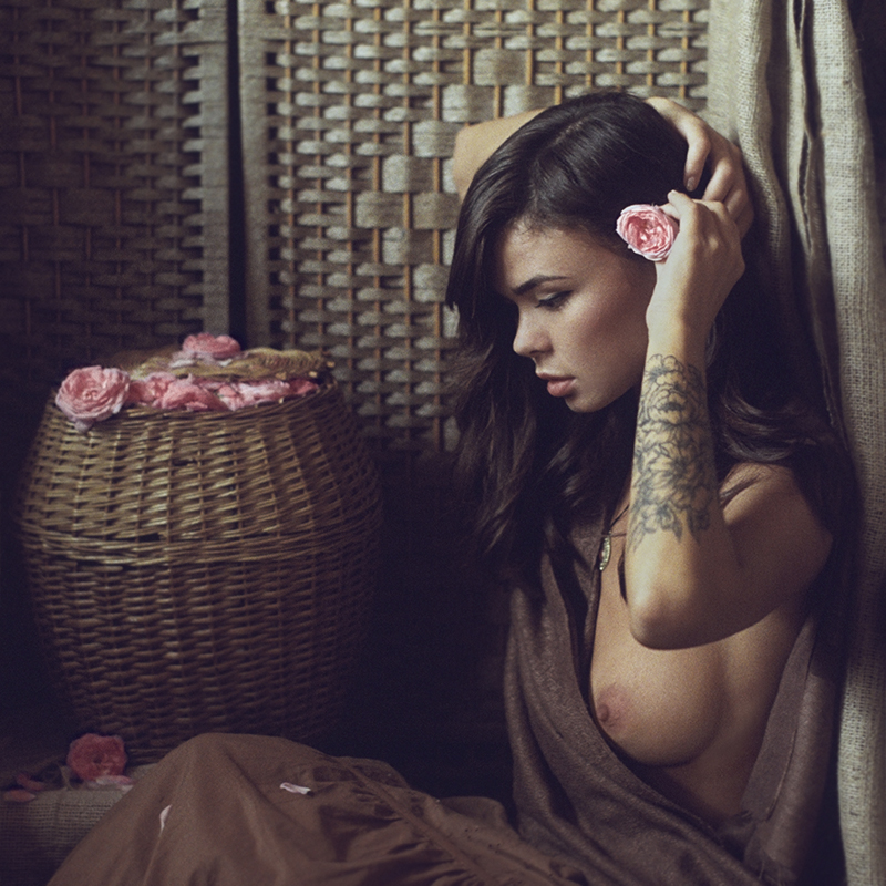 tea rose in answer #2289917