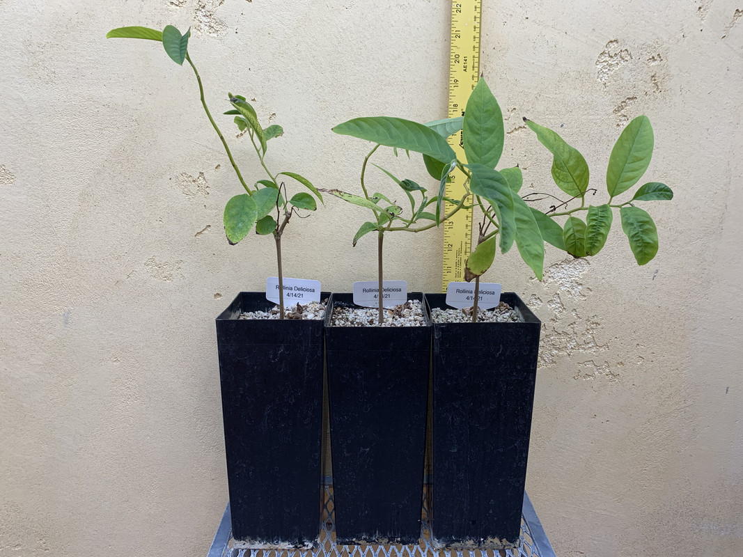 2A672362-9FE1-4C9D-A5D2-28C63430C60F