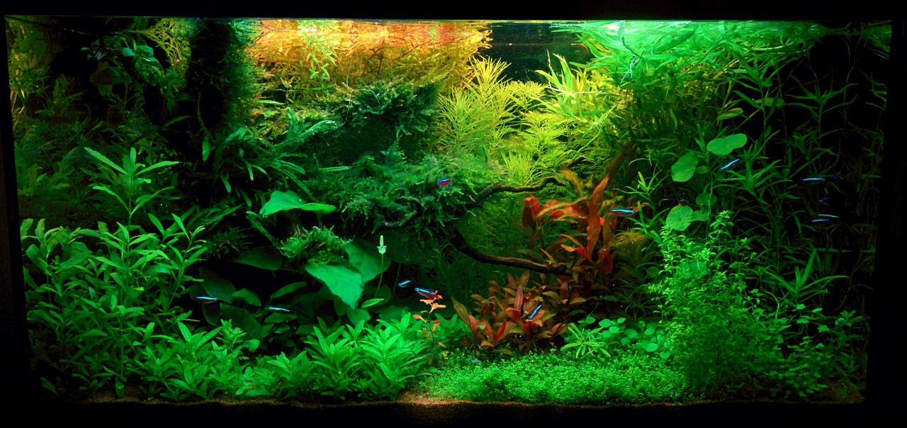 IMG_20170421_215350 (4)