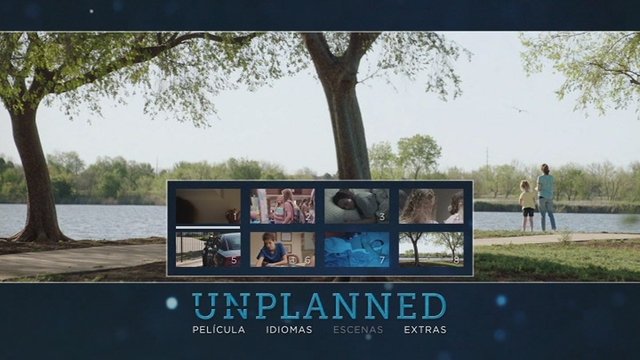 3 - Unplanned [DVD9 Full][Pal][Cast/Ing][Sub:Cast][Drama][2019]
