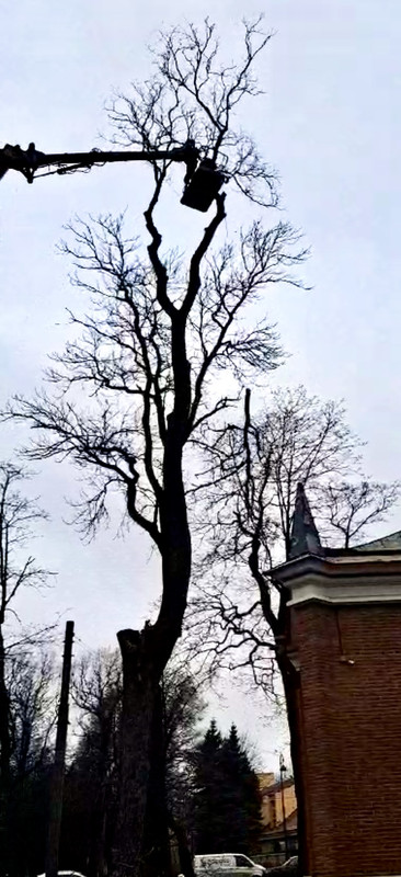 IMG-2032.jpg