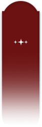 ai match detail red