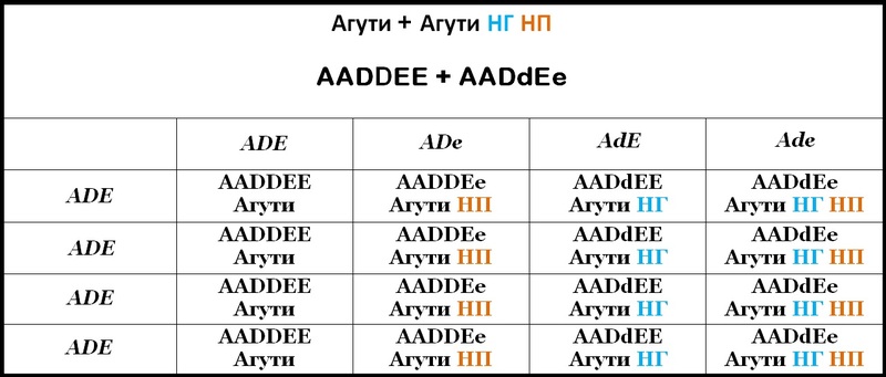 Таблица 14