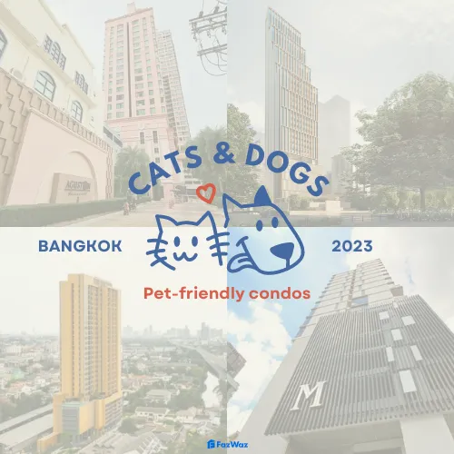 pet friendly condo bangkok