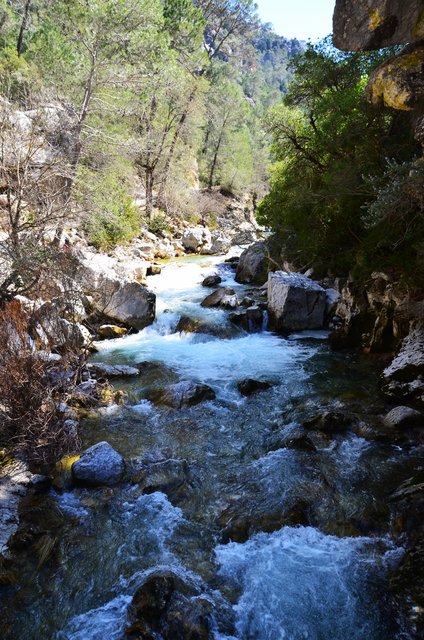 RUTA RIO BOROSA-12-3-2016-JAEN - Paseando por España-1991/2016 (61)