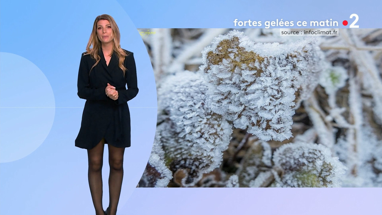 2022-04-04_21_00_Fr2_Meteo.mp4_snapshot_08.52.261