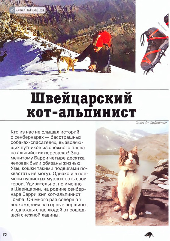 Moj-drug-koshka-2012-02-71