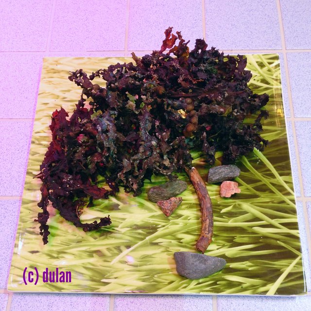 [Image: IMG-20221025-133302.jpg]