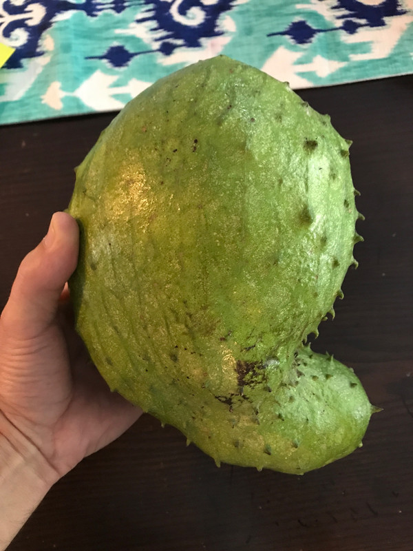 guanabana b 7 2017