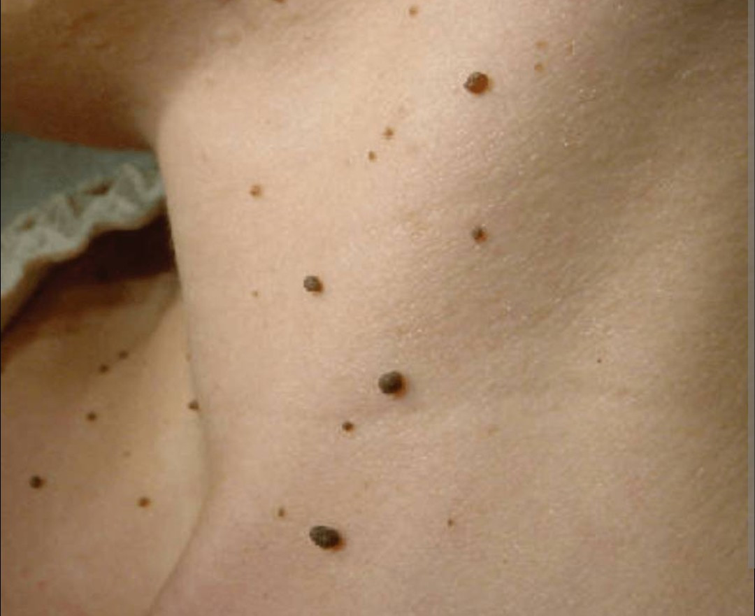 Screenshot 20251112 132424 2