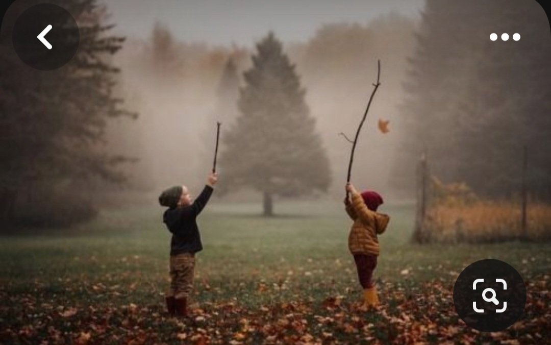 Screenshot_20231115_213044_Pinterest