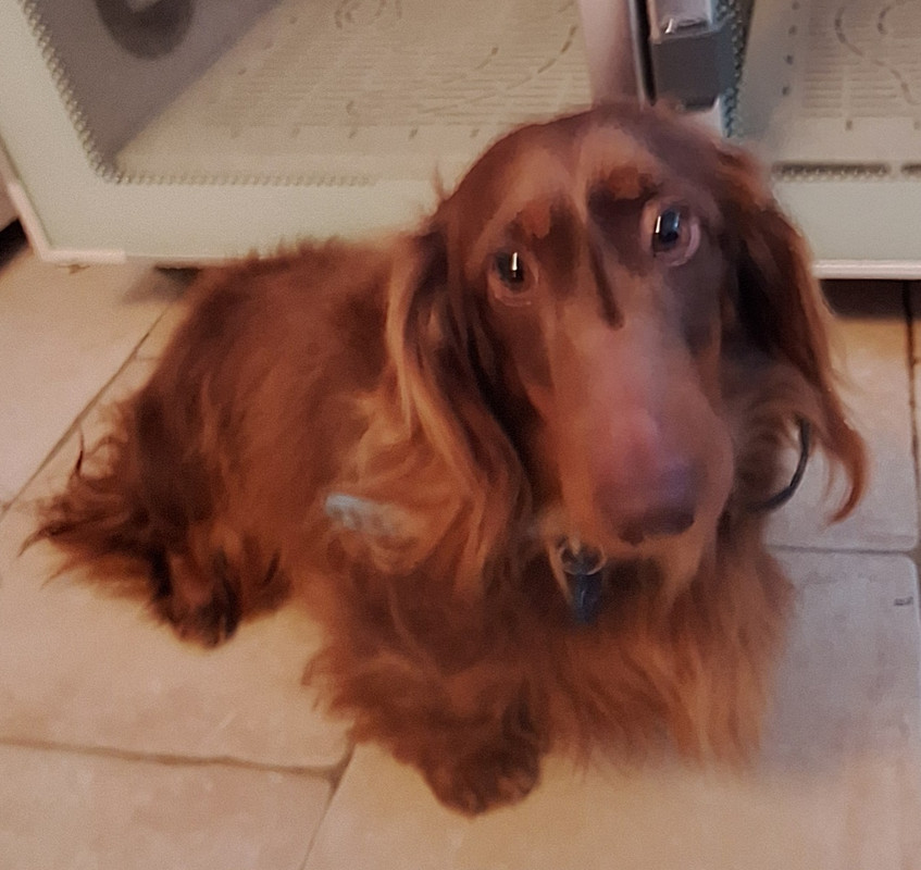 [Image: 20240312-182942.jpg]