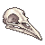 bird-skull-Asralore.png