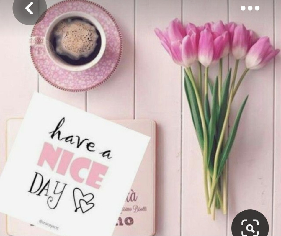 Screenshot_20230615_232724_Pinterest