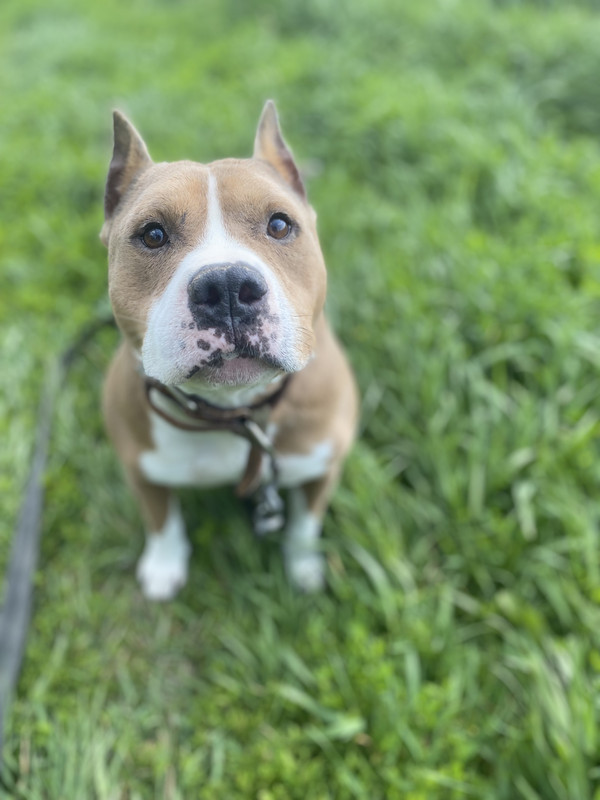 E1E2B078-91B1-46B3-BA4C-5CC4A8E1DBEF