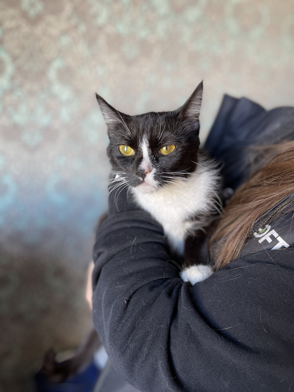 904BE05E-FF96-48BC-88A7-DAAB448540EE