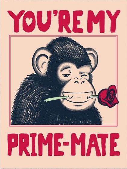 [Image: Primate.jpg]