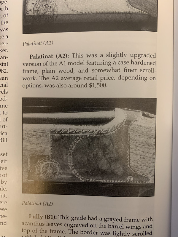 [Linked Image from i.postimg.cc]