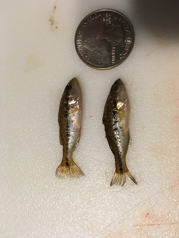 50D0D2D2-ADF2-422A-9CA6-64941A513231