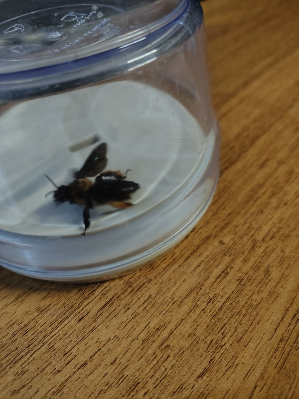 IMG 20260326 230849485 HDR