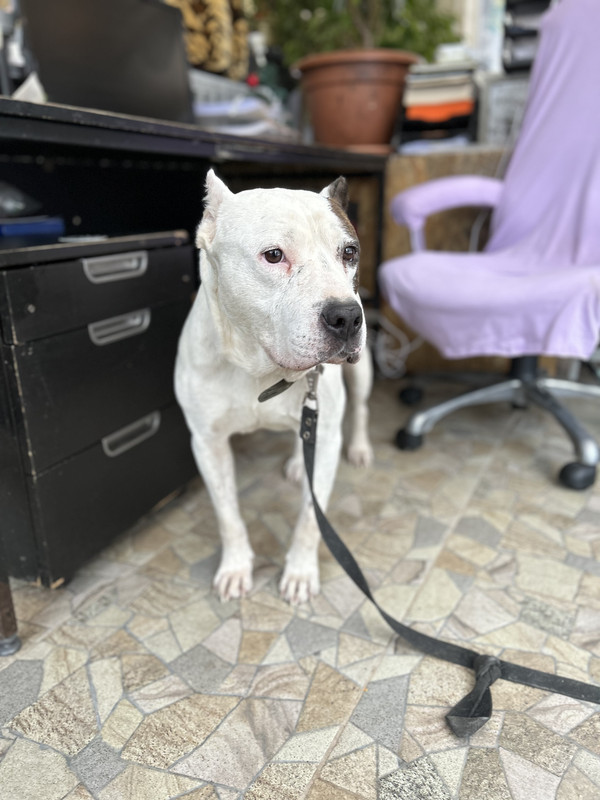 957689ED-2384-4B98-86B1-382244698495