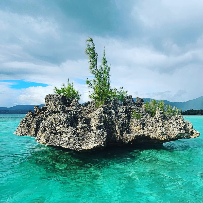 AVISTAMIENTO Y NADO CON DELFINES-CRYSTAL ROCK-BENITIERS ISLAND - Isla Mauricio: por y para el placer (13)