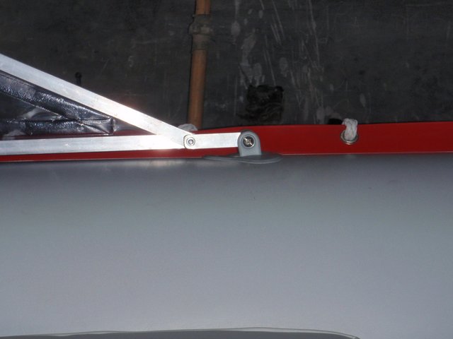 mimosos en berisso 214