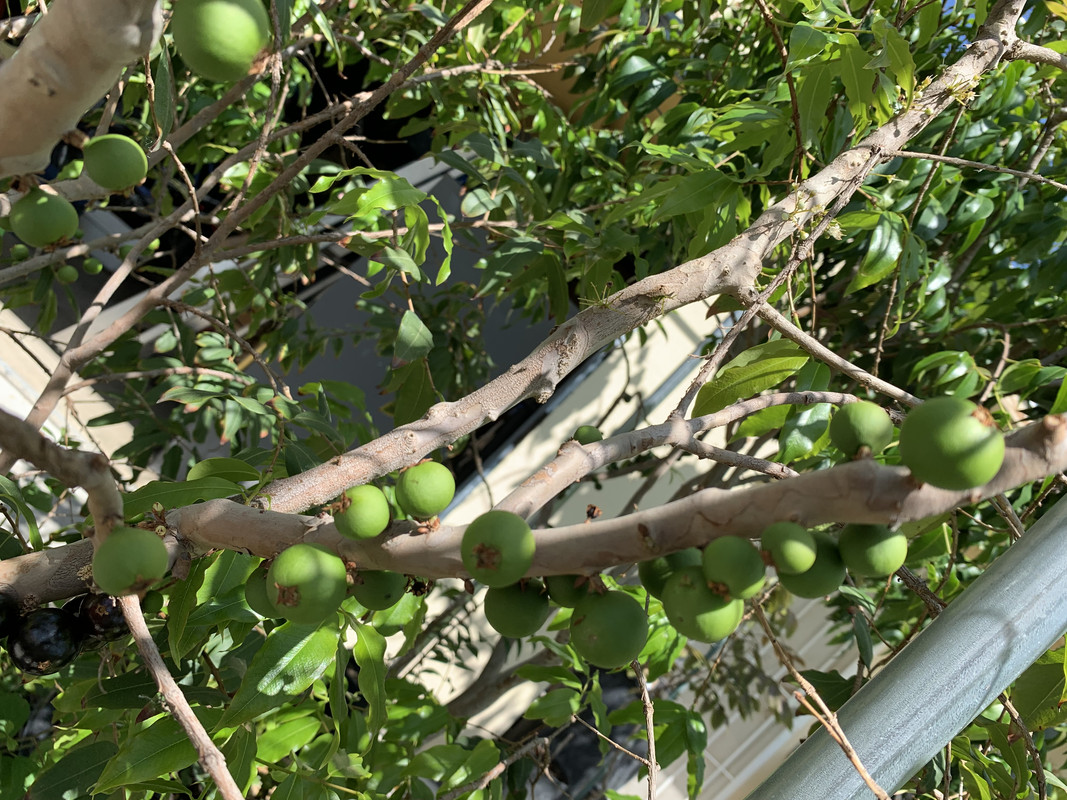 2B6222B3-1062-4401-A025-077D7D7CED92