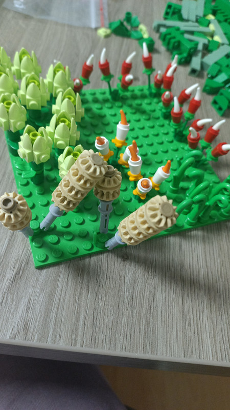 IMG-20241019-WA0081